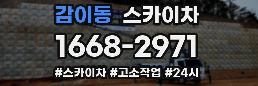 감이동 스카이차