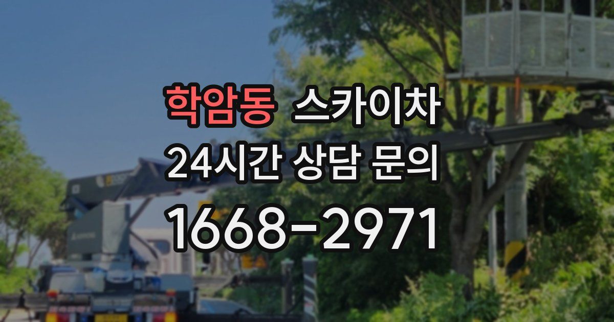 학암동 스카이차