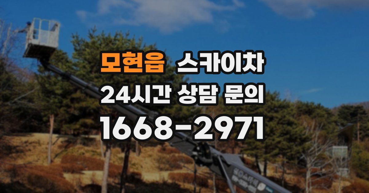 모현읍 스카이차