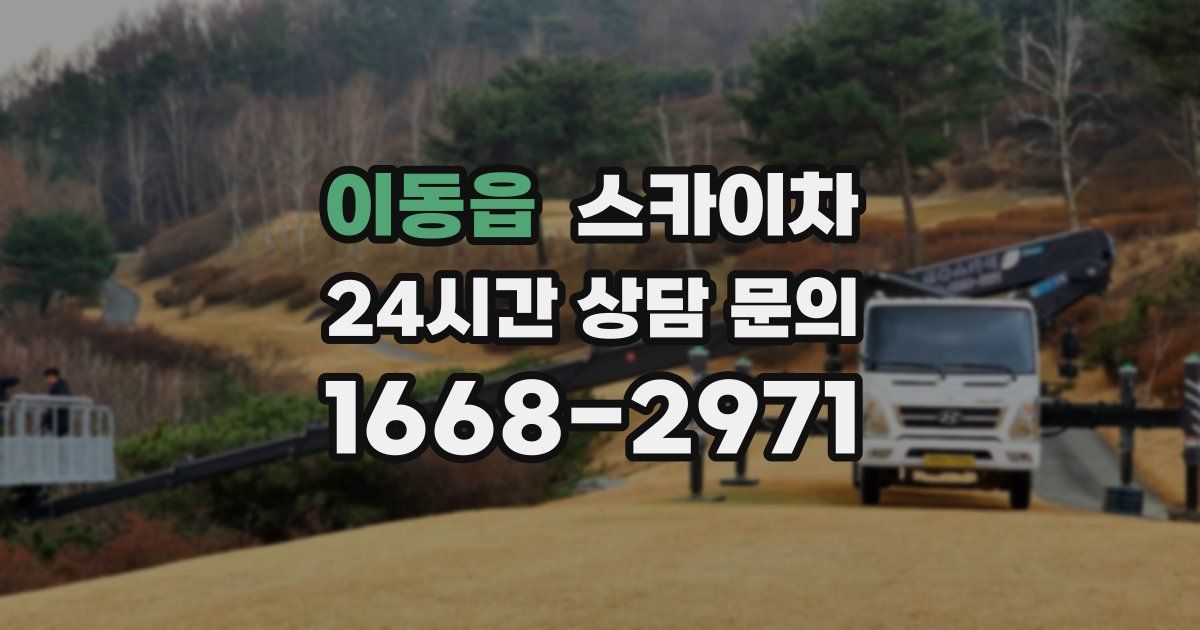 이동읍 스카이차