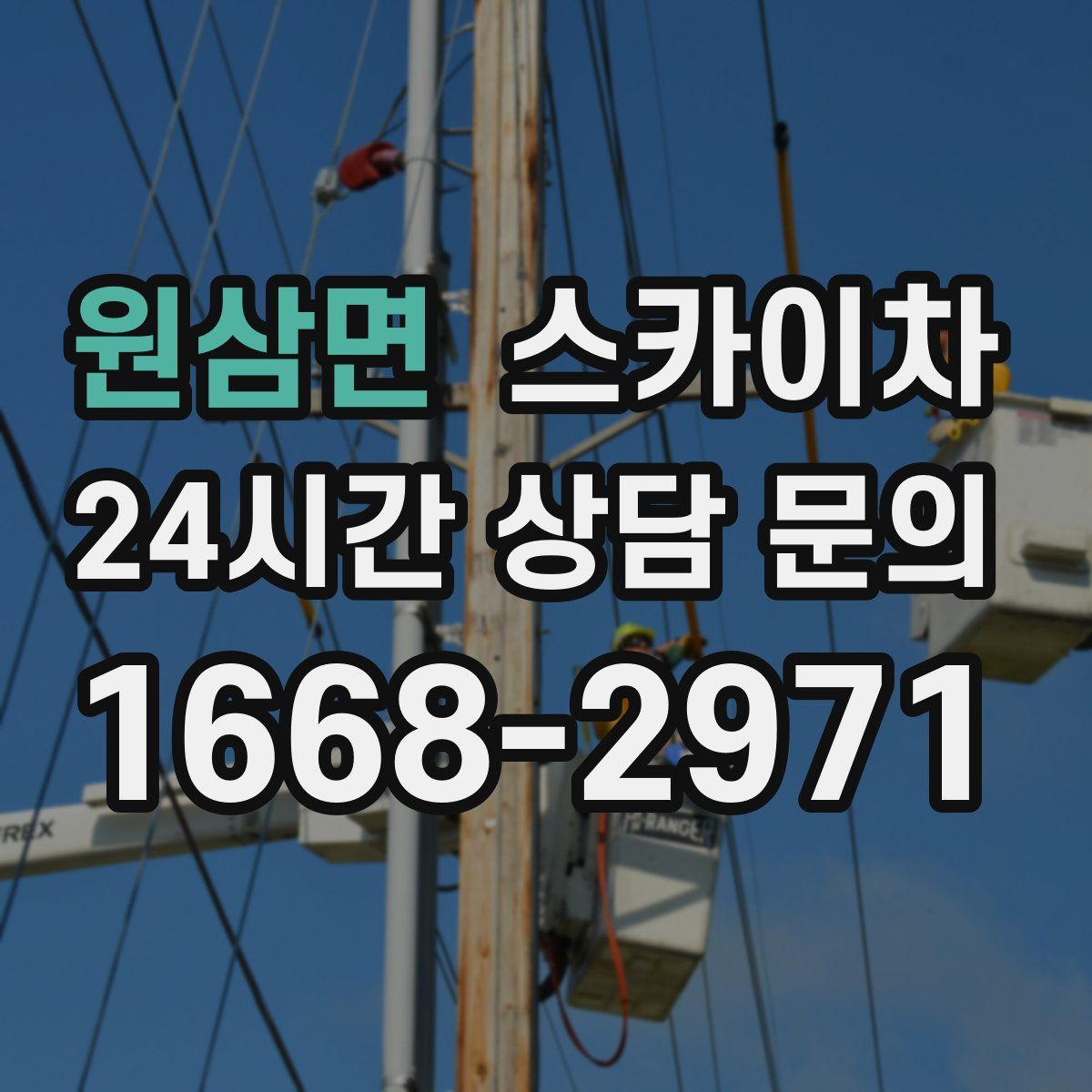 원삼면 스카이차