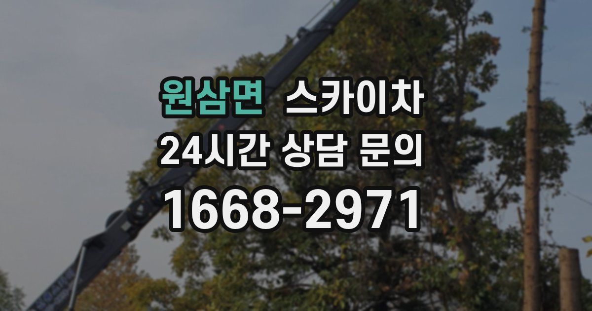 원삼면 스카이차