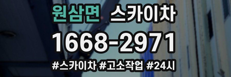 원삼면 스카이차