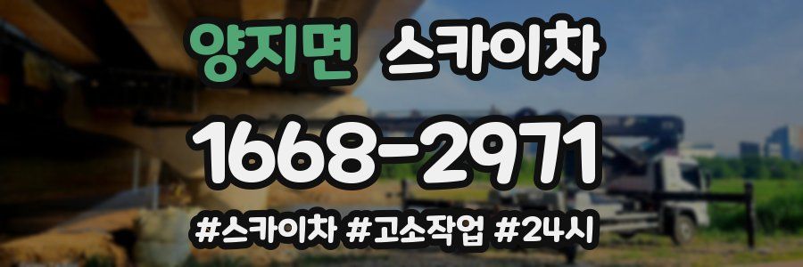 양지면 스카이차