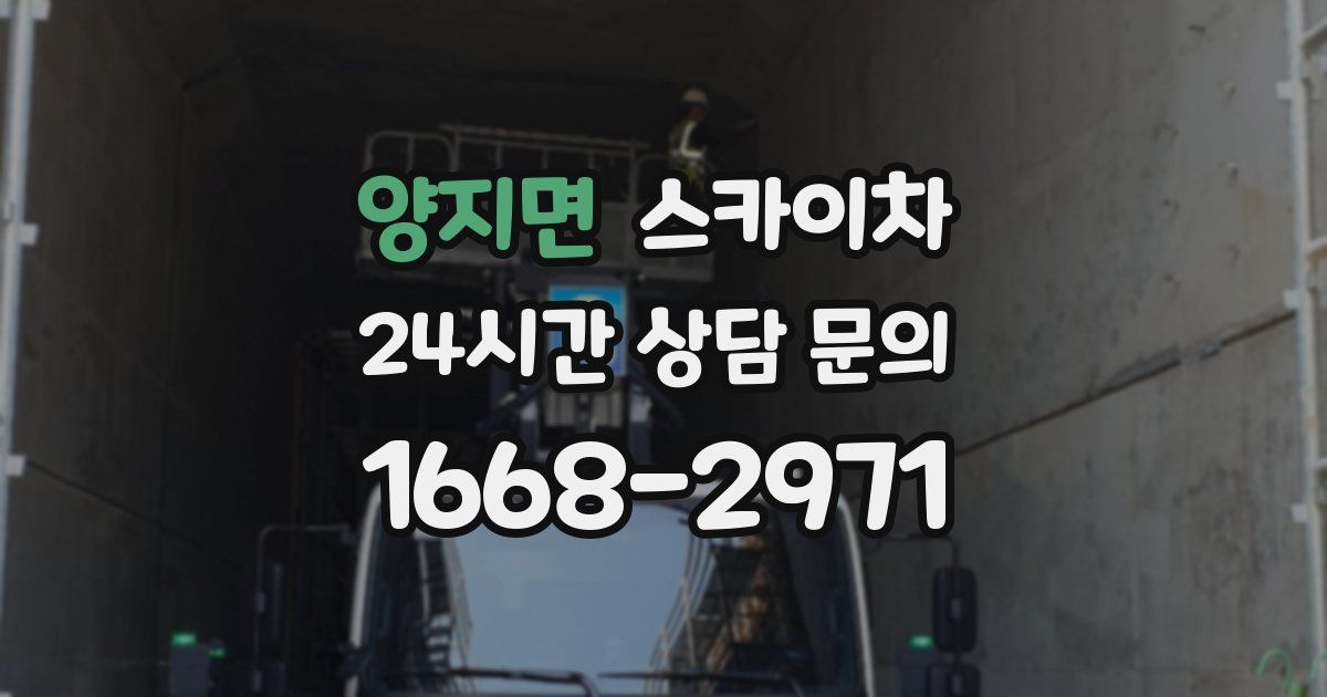 양지면 스카이차