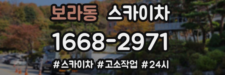 보라동 스카이차