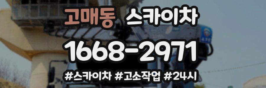 고매동 스카이차