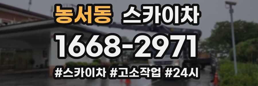 농서동 스카이차