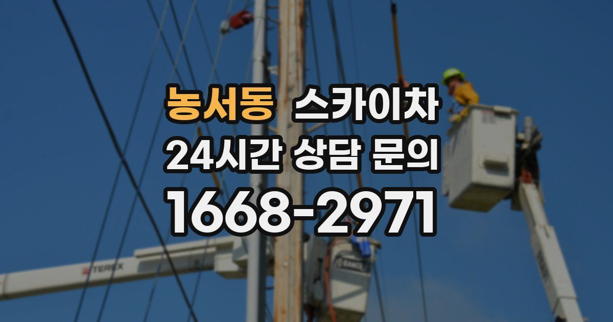 농서동 스카이차