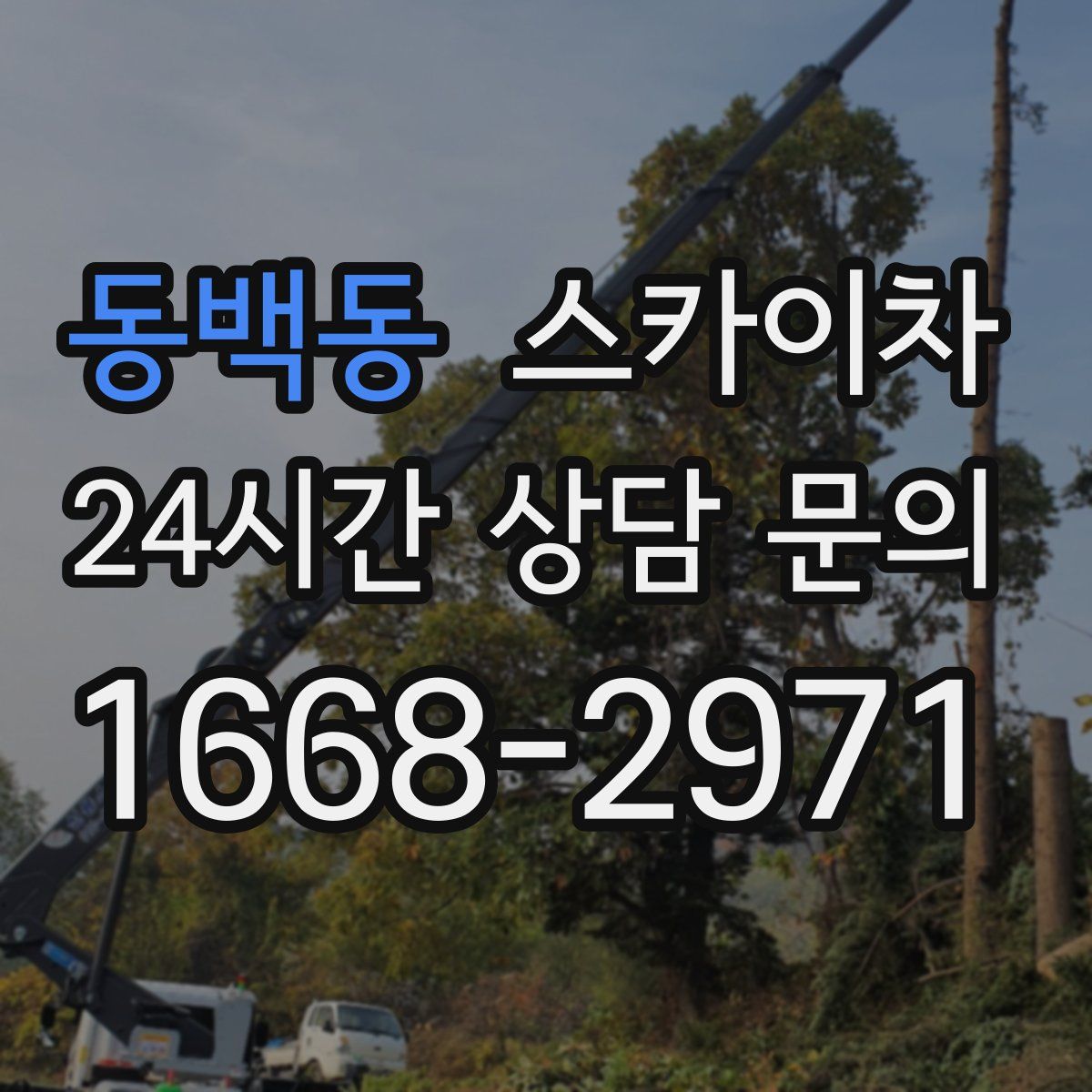 동백동 스카이차