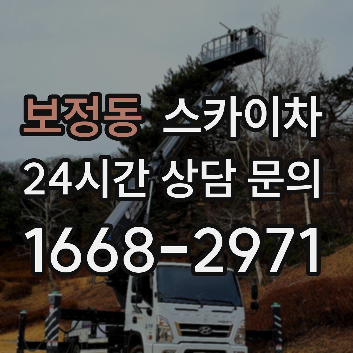 보정동 스카이차