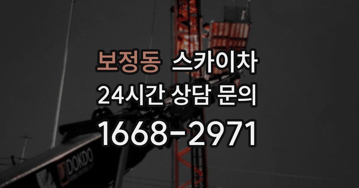 보정동 스카이차