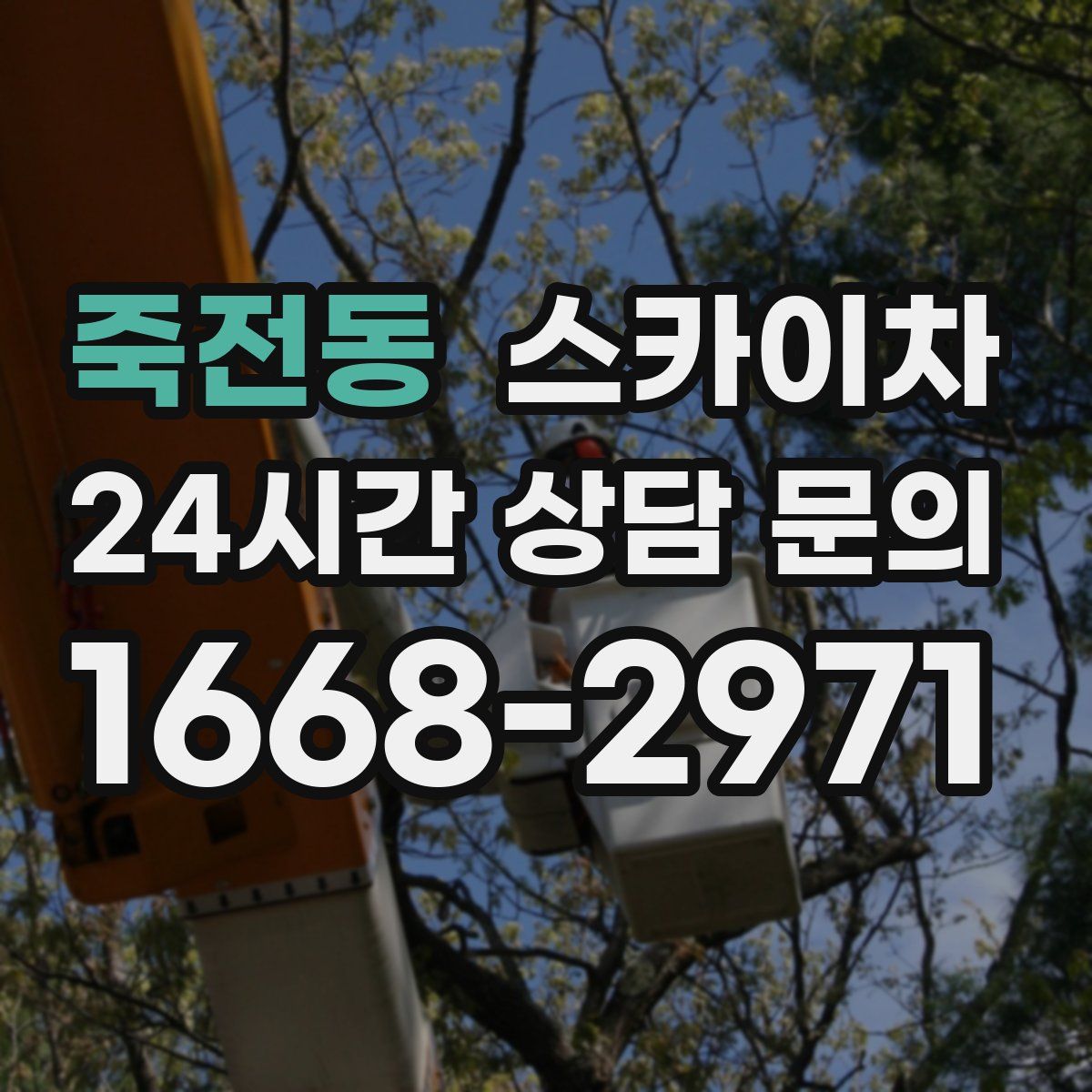 죽전동 스카이차