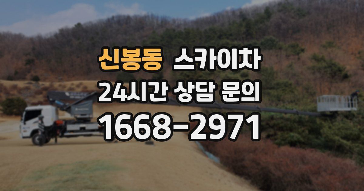 신봉동 스카이차