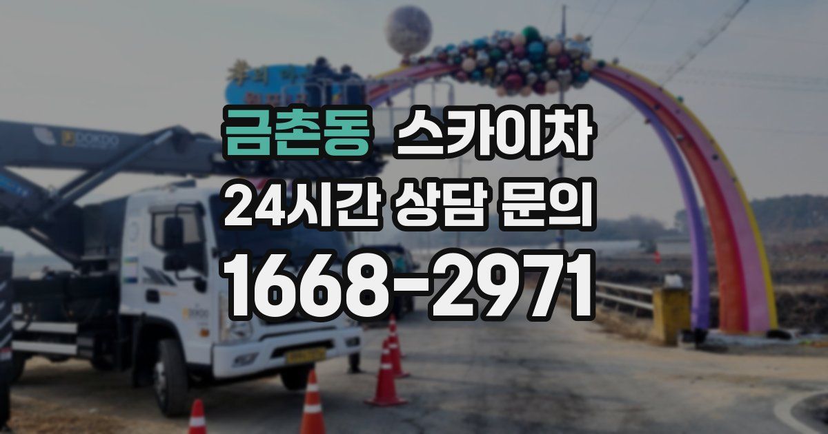 금촌동 스카이차