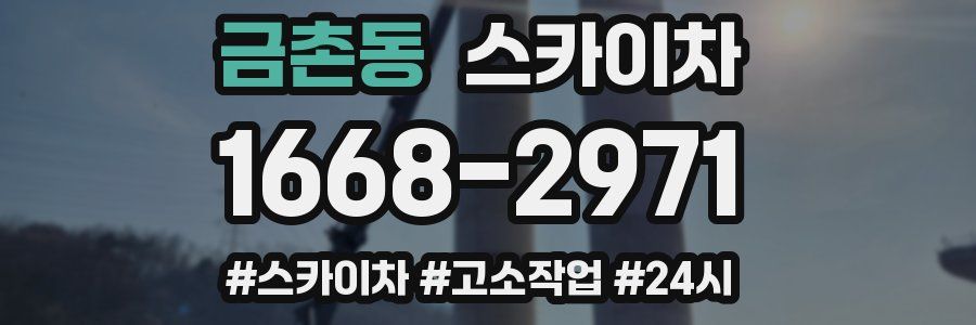 금촌동 스카이차
