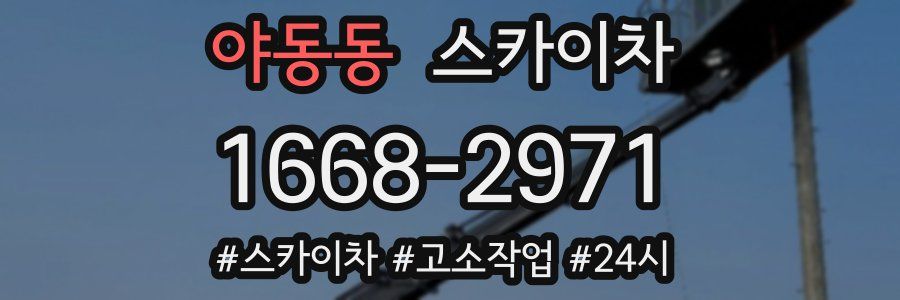 야동동 스카이차