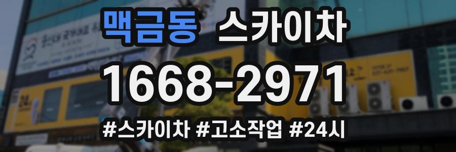 맥금동 스카이차