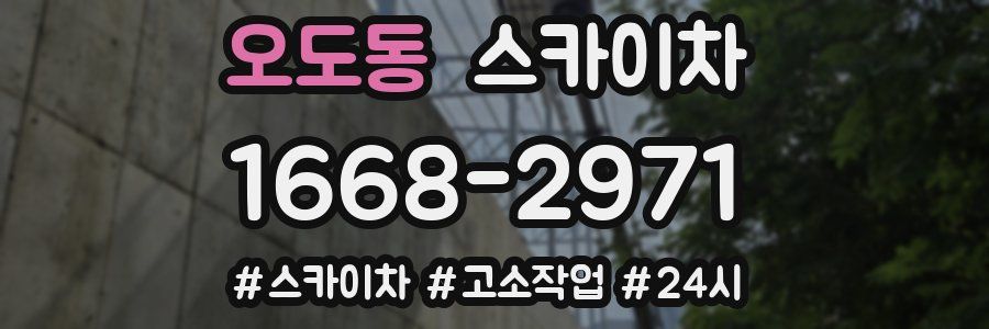 오도동 스카이차