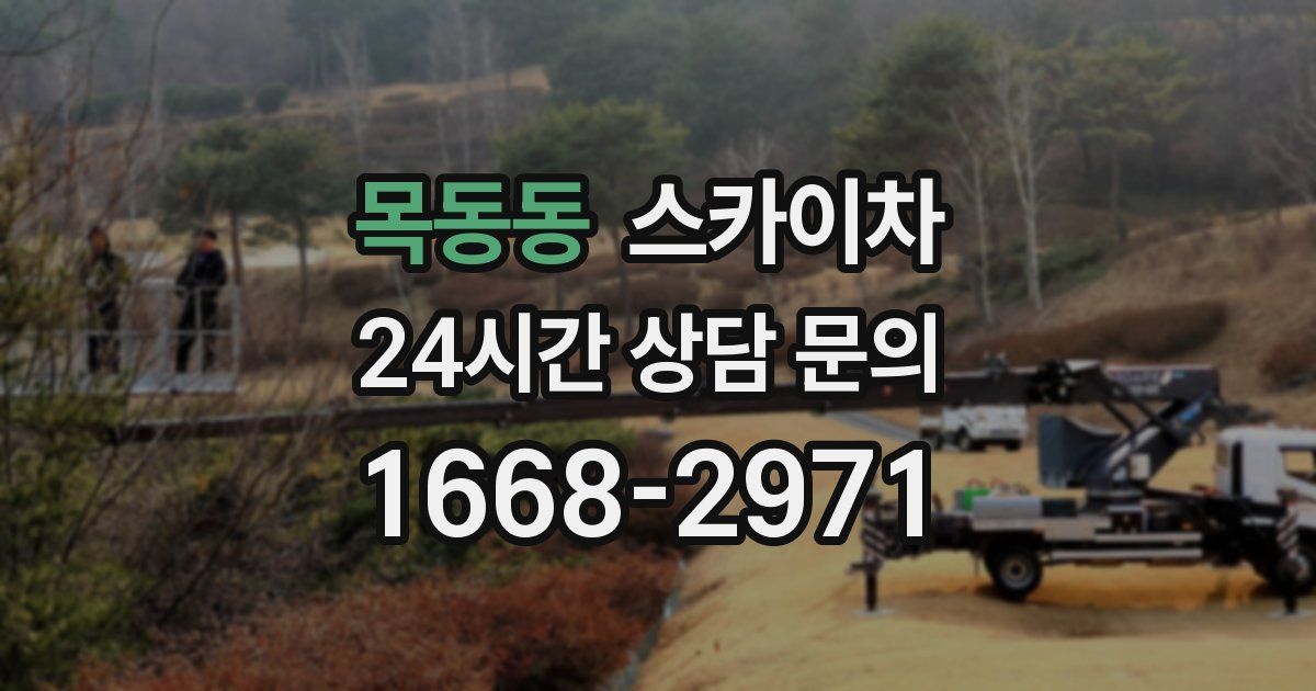 목동동 스카이차