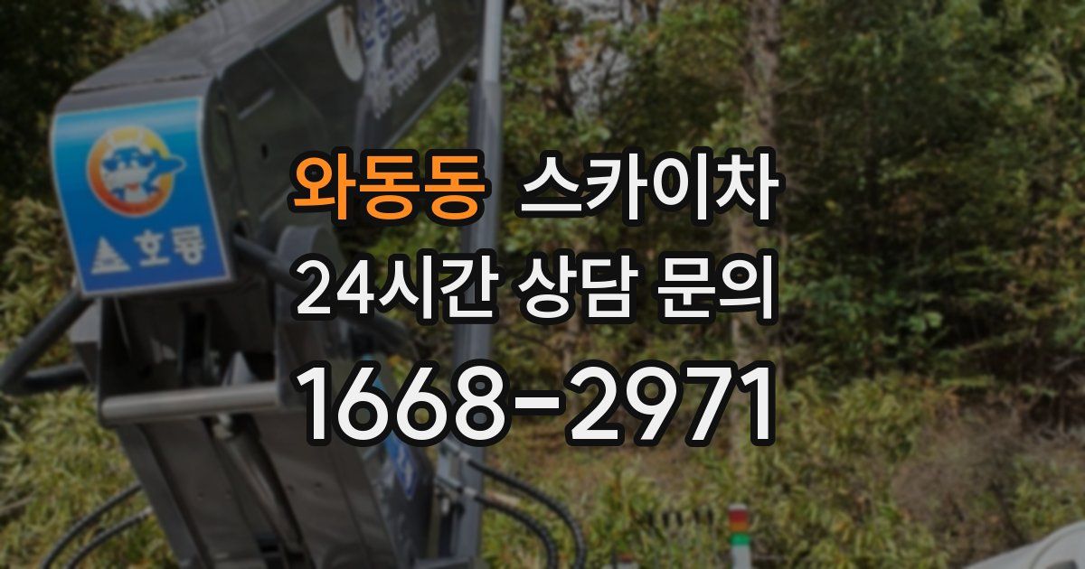 와동동 스카이차