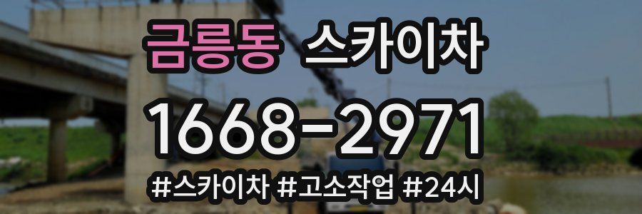 금릉동 스카이차