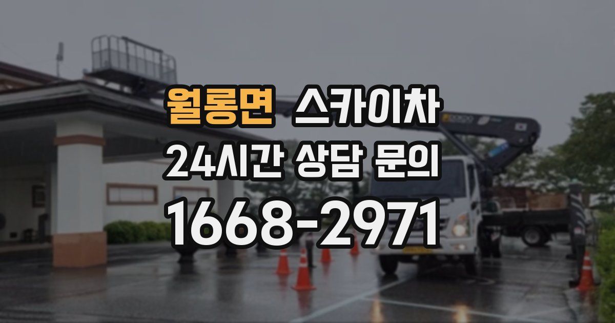 월롱면 스카이차