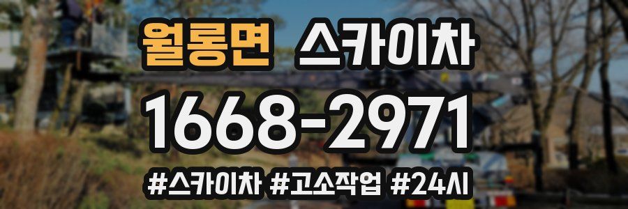 월롱면 스카이차