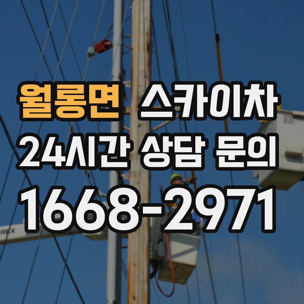 월롱면 스카이차