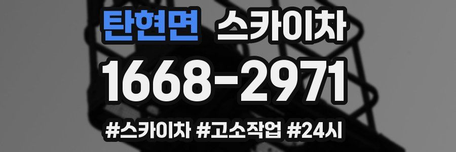 탄현면 스카이차