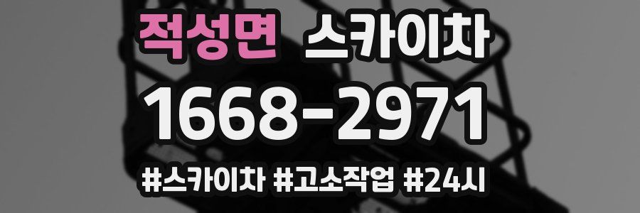 적성면 스카이차