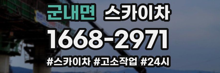 군내면 스카이차