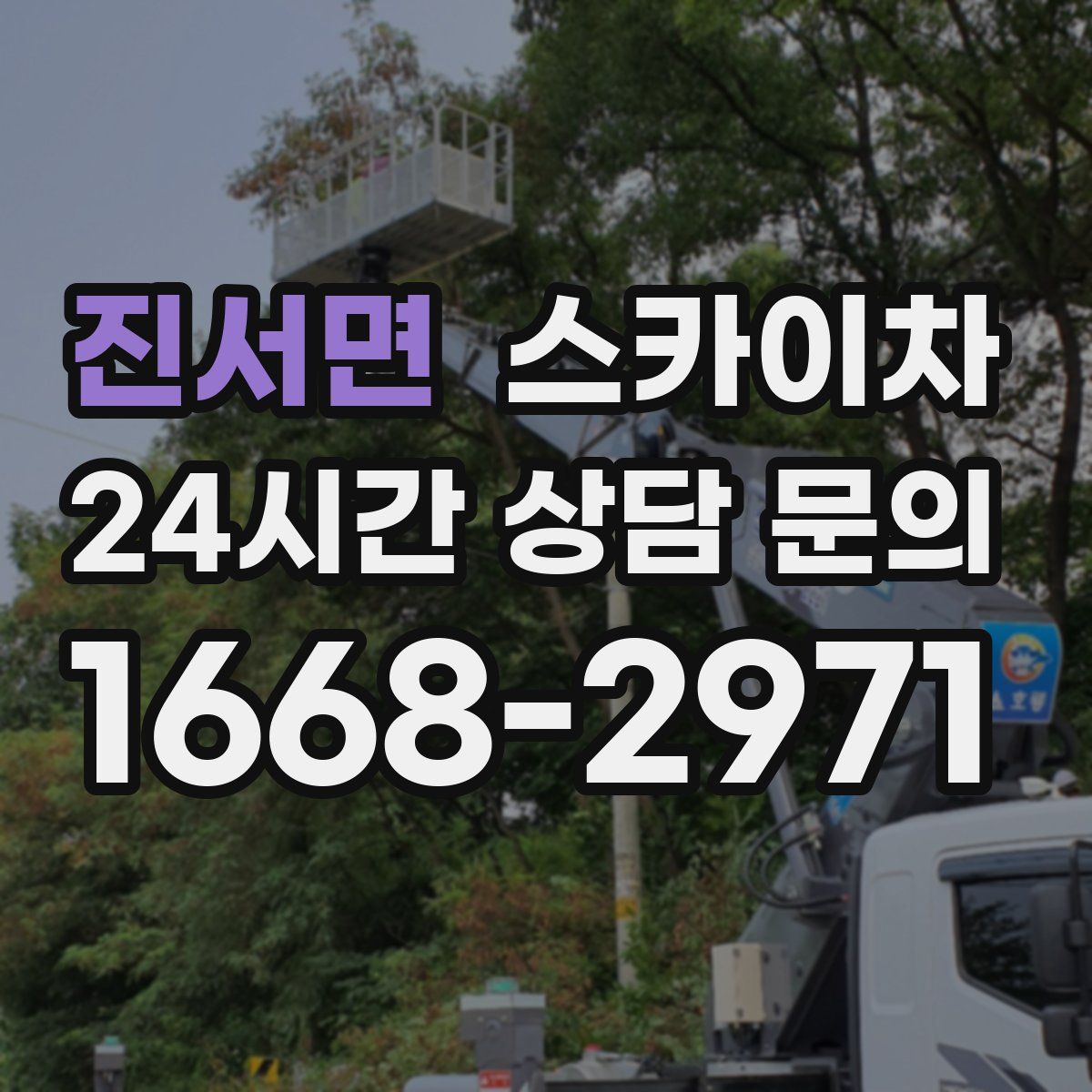 진서면 스카이차