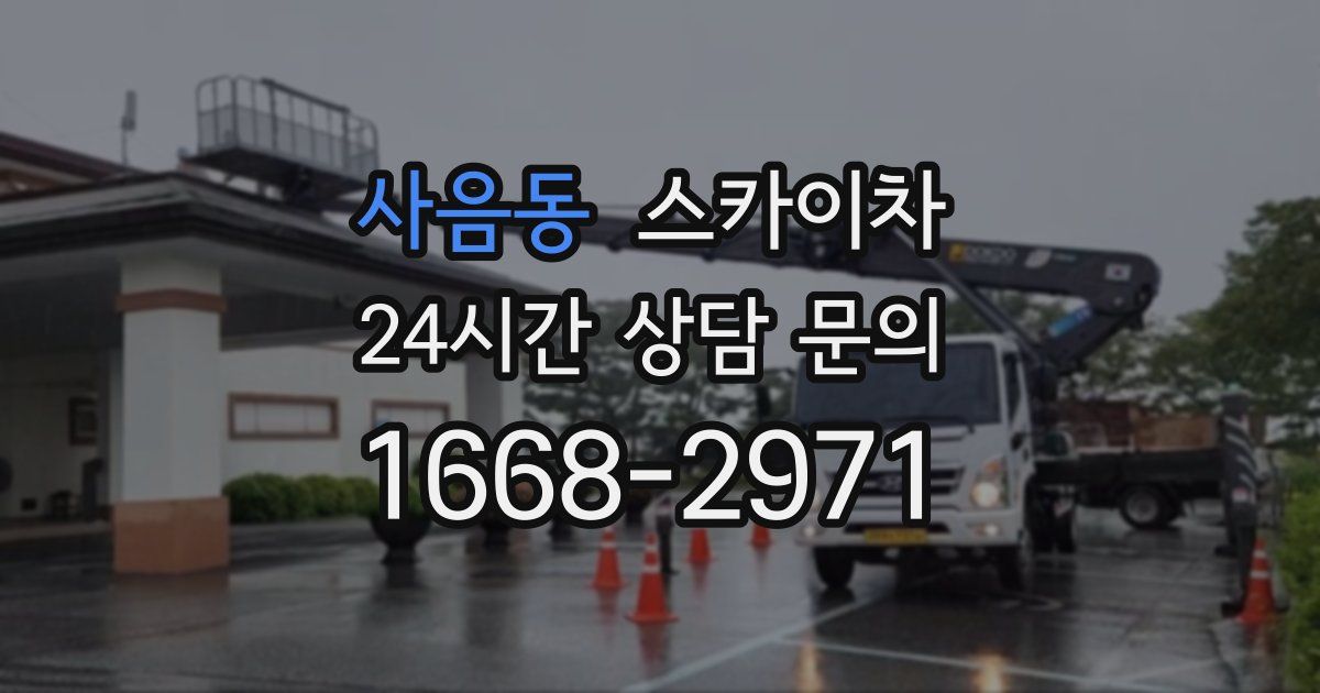 사음동 스카이차