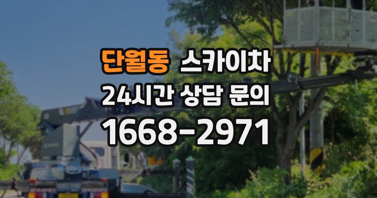 단월동 스카이차