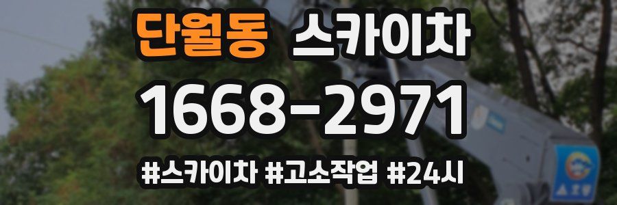 단월동 스카이차