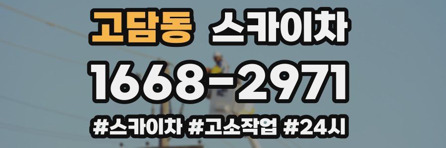 고담동 스카이차