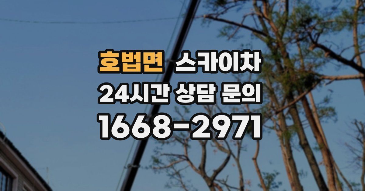 호법면 스카이차