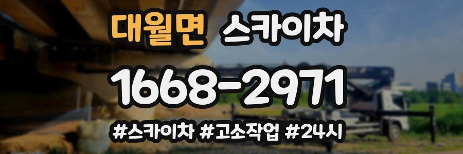 대월면 스카이차