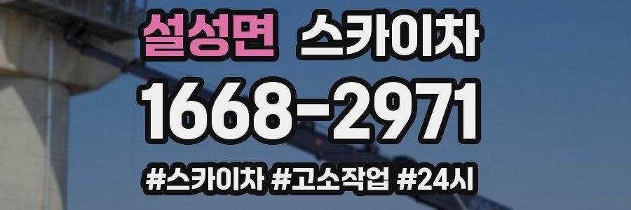 설성면 스카이차