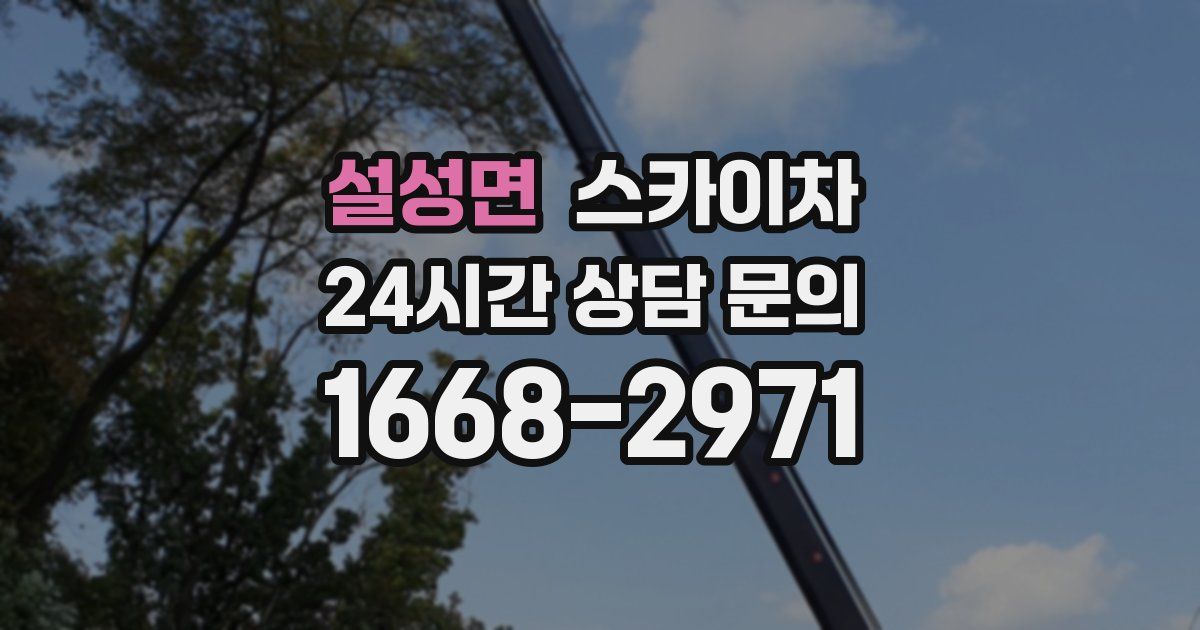 설성면 스카이차