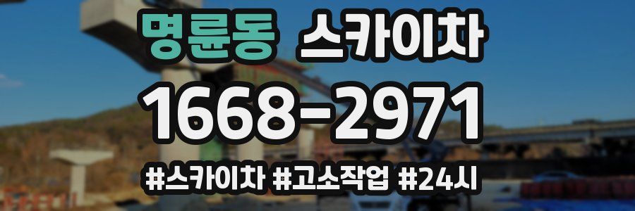 명륜동 스카이차