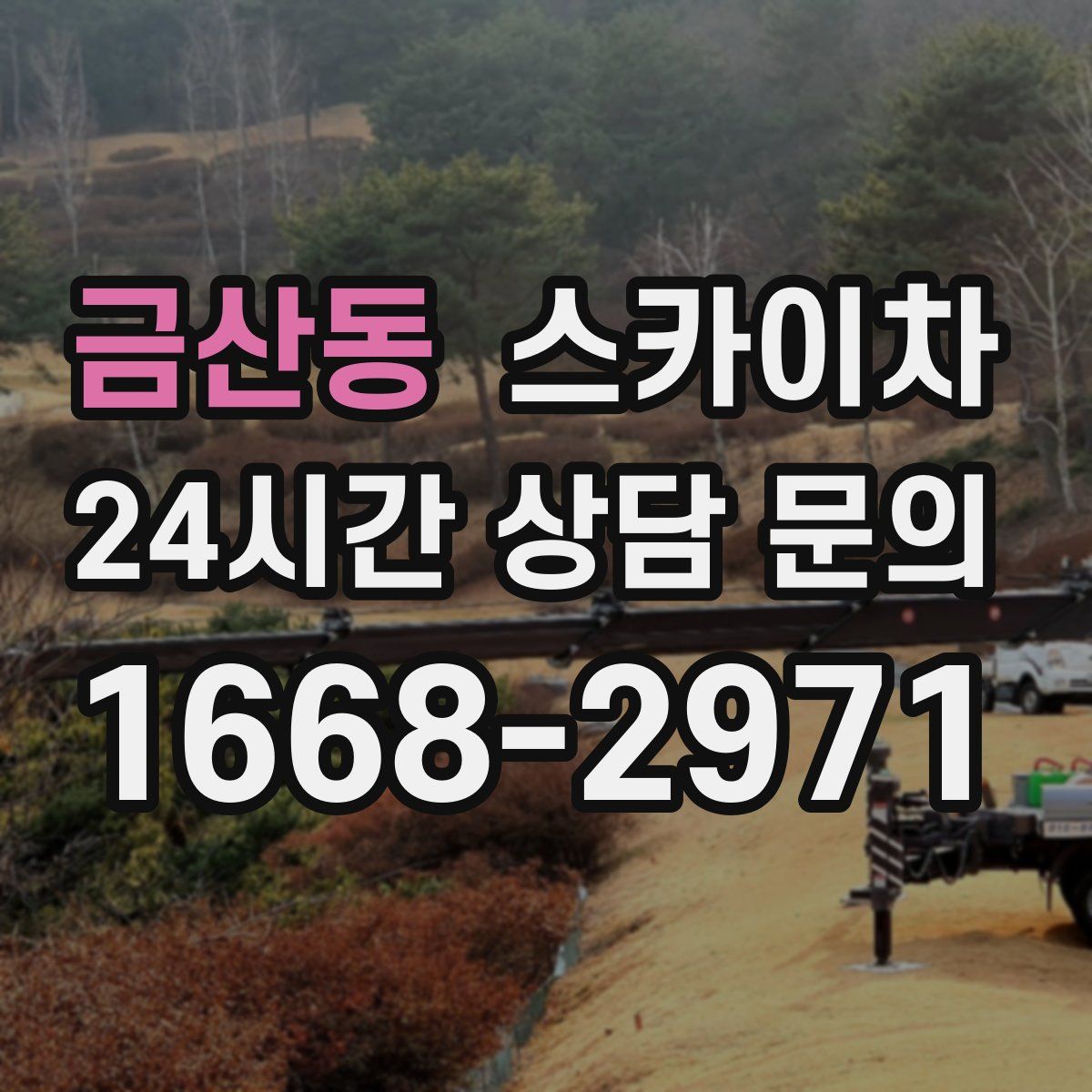 금산동 스카이차