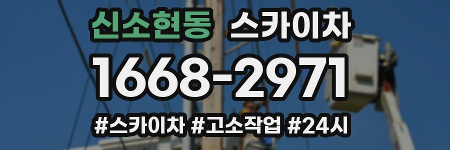 신소현동 스카이차