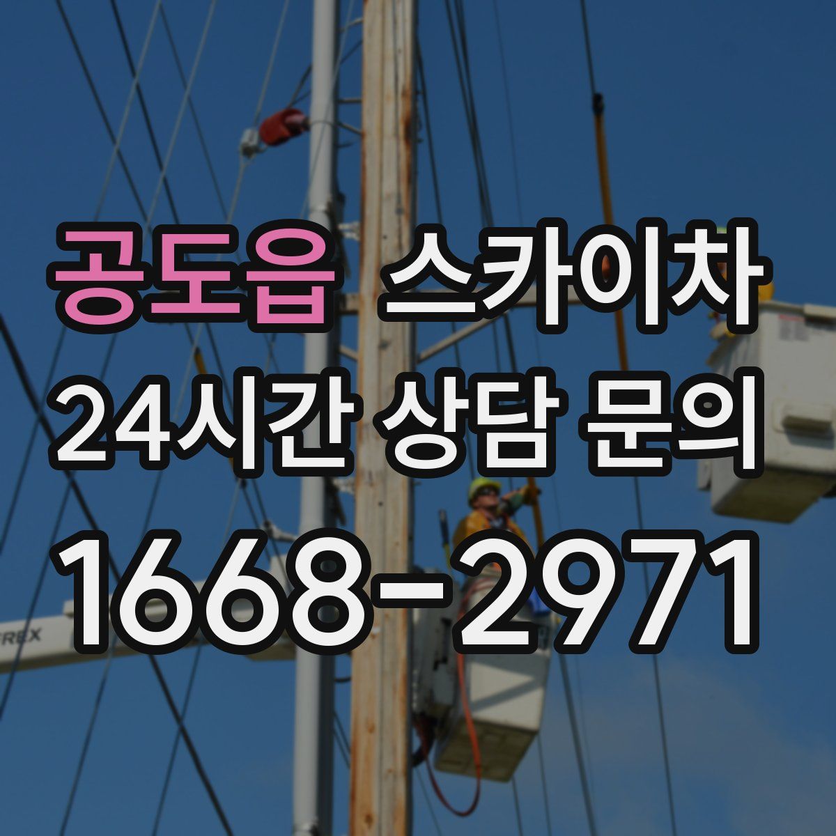 공도읍 스카이차