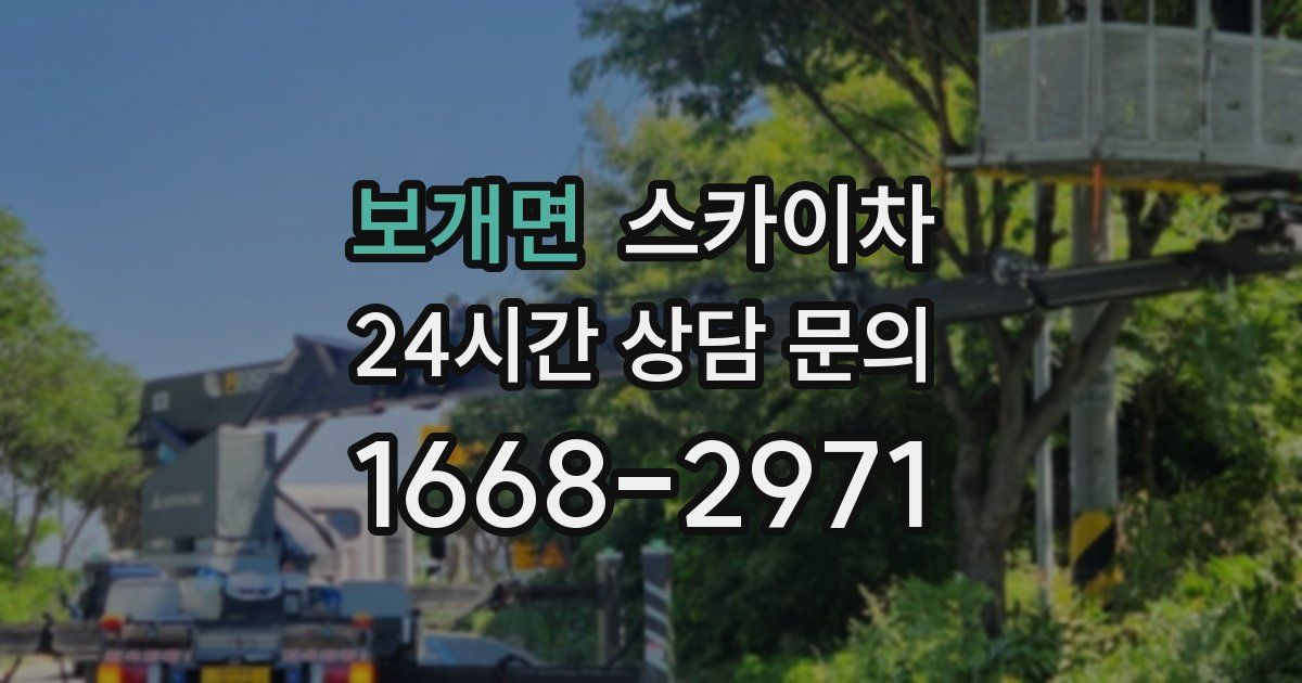 보개면 스카이차