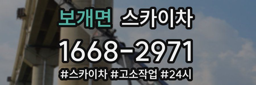 보개면 스카이차