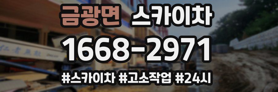 금광면 스카이차