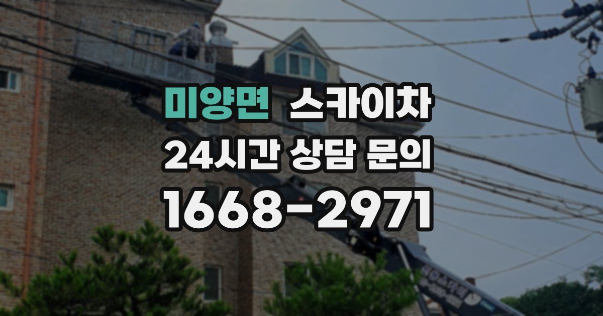 미양면 스카이차