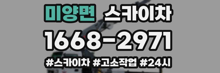 미양면 스카이차